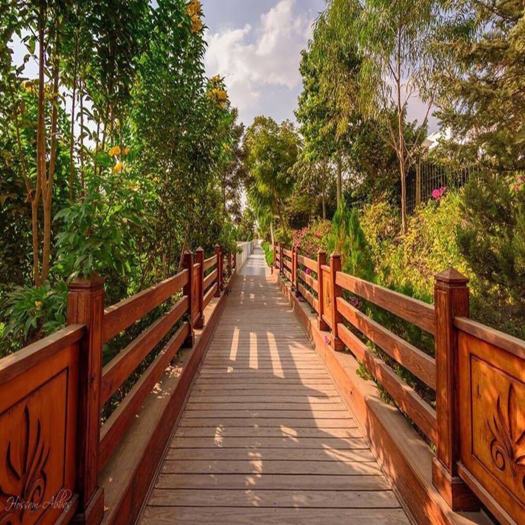 WhatsApp Image 2025-11-10 at 2.52.21 PM (1)